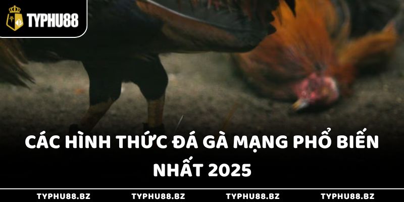Các hình thức đá gà mạng phổ biến nhất 2025