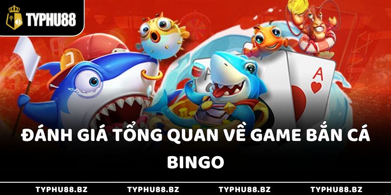 Đánh Giá Game Bắn Cá Bingo Typhu88 - Thu Tiền Mặt Siêu Dễ 2 Đánh giá tổng quan về game bắn cá Bingo