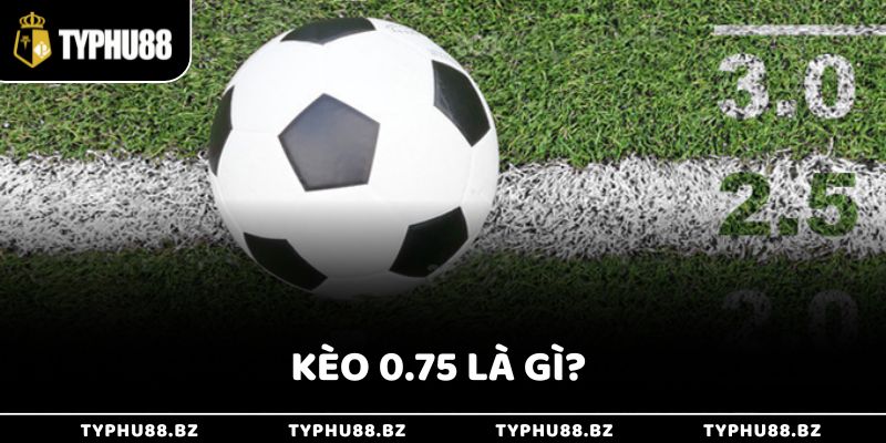 Kèo 0.75 Là Gì Trong Bóng Đá Và Cách Chơi Thắng Lớn